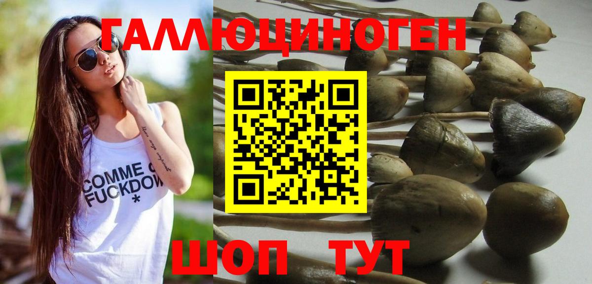 Галлюциногенные грибы прущие грибы Екатеринбург